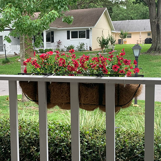 UV-Resistant Outdoor Flowers | Zero Maintenance Color | 50% OFF Today